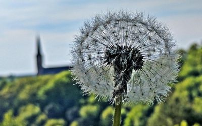 Beschlussvorschlag zur regiolokalen Kirchenentwicklung