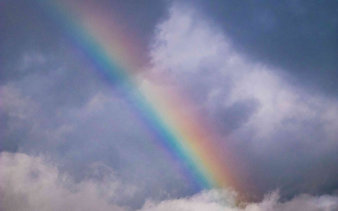 Nächster Zoom „Zukunft Kirche in Lippe kompakt“ am 26.03.26